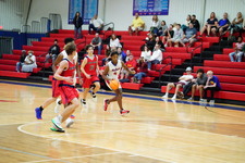 Enlarge photo 535