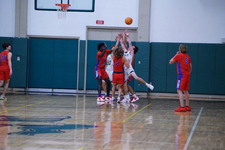 Enlarge photo 94
