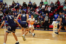 Enlarge photo 203