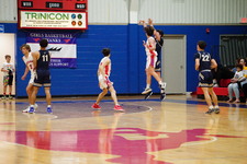 Enlarge photo 217
