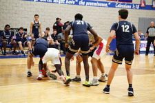 Enlarge photo 433