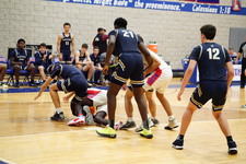 Enlarge photo 434