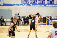 Enlarge photo 58