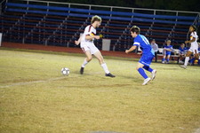 Enlarge photo 49
