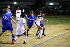 Enlarge photo 122