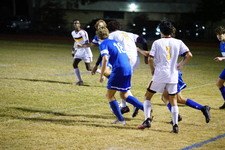 Enlarge photo 124