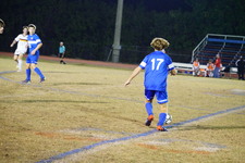 Enlarge photo 147