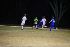 Enlarge photo 178