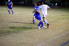 Enlarge photo 204