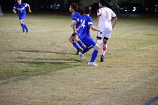 Enlarge photo 206