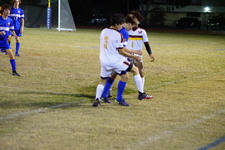Enlarge photo 222