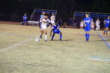 Enlarge photo 252