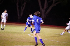 Enlarge photo 229