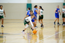Enlarge photo 87