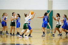 Enlarge photo 145