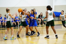 Enlarge photo 152