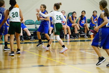 Enlarge photo 228