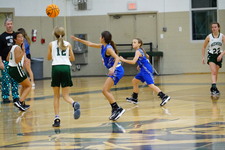 Enlarge photo 229