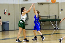 Enlarge photo 231
