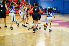 Enlarge photo 86