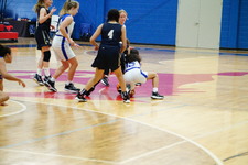 Enlarge photo 91