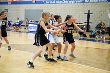 Enlarge photo 272