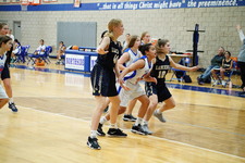 Enlarge photo 275