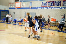 Enlarge photo 391