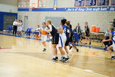 Enlarge photo 392
