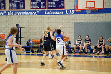 Enlarge photo 410