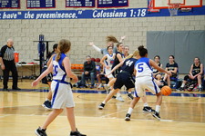Enlarge photo 412