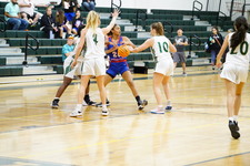 Enlarge photo 229