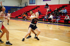 Enlarge photo 231