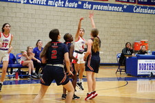 Enlarge photo 532