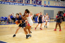 Enlarge photo 534