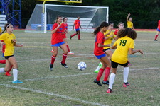 Enlarge photo 21