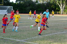 Enlarge photo 33