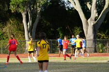 Enlarge photo 41