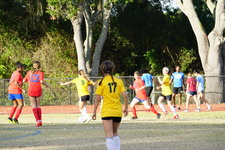 Enlarge photo 43