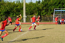Enlarge photo 51