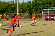 Enlarge photo 52