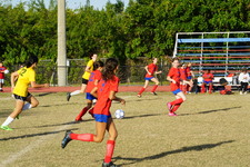 Enlarge photo 53