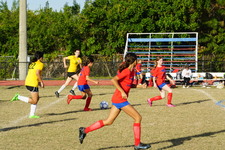 Enlarge photo 54
