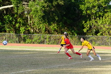Enlarge photo 59