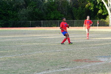 Enlarge photo 61