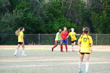 Enlarge photo 82