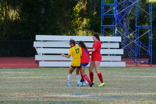 Enlarge photo 83