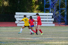 Enlarge photo 84