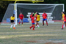 Enlarge photo 92