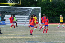 Enlarge photo 97